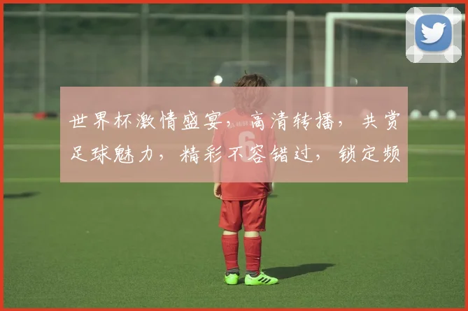 世界杯激情盛宴，高清转播，共赏足球魅力，精彩不容错过，锁定频道，一触即达