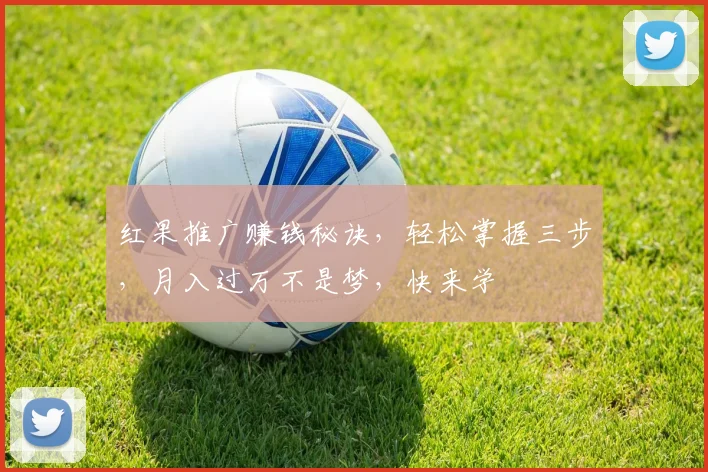 红果推广赚钱秘诀，轻松掌握三步，月入过万不是梦，快来学