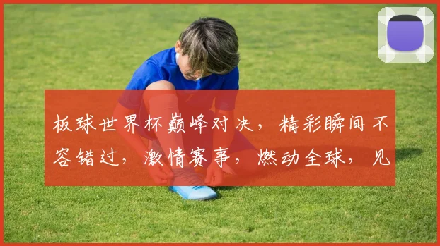 板球世界杯巅峰对决，精彩瞬间不容错过，激情赛事，燃动全球，见证辉煌