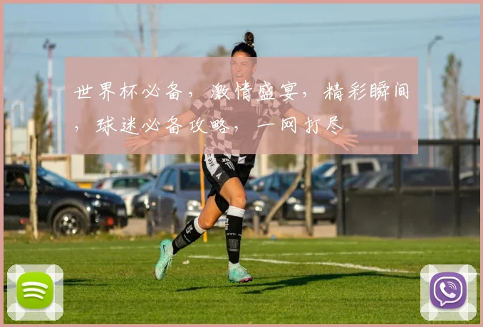 世界杯必备，激情盛宴，精彩瞬间，球迷必备攻略，一网打尽
