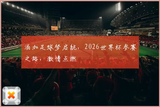 汤加足球梦启航，2026世界杯参赛之路，激情点燃