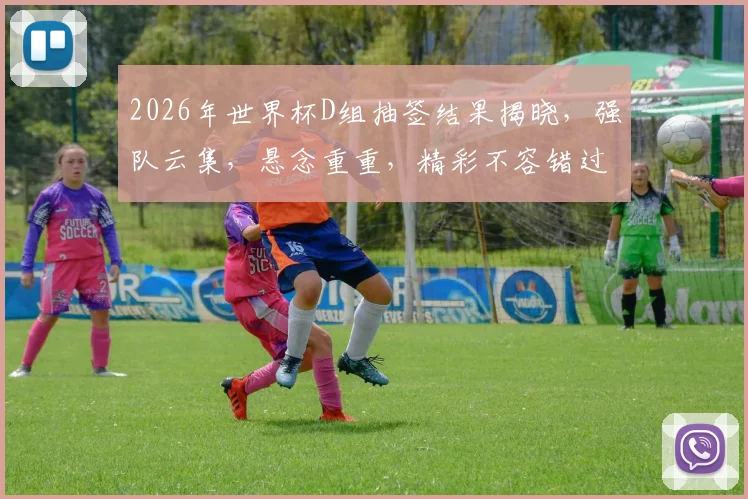 2026年世界杯D组抽签结果揭晓，强队云集，悬念重重，精彩不容错过，敬请关注