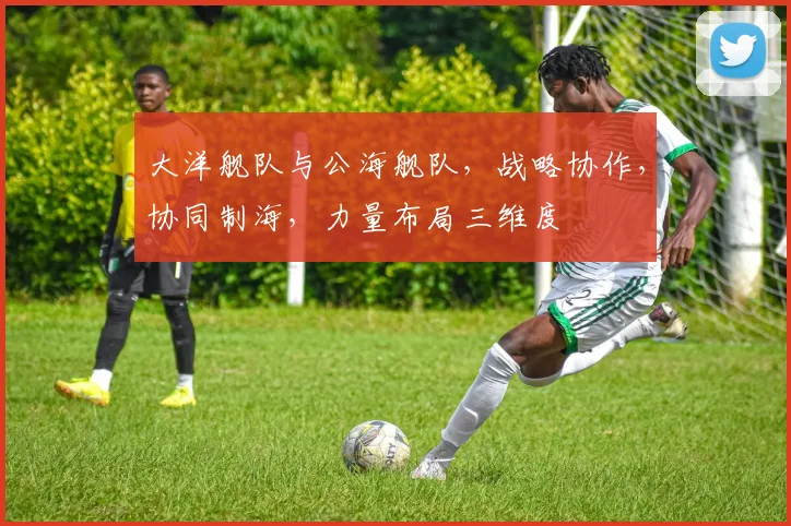 大洋舰队与公海舰队，战略协作，协同制海，力量布局三维度
